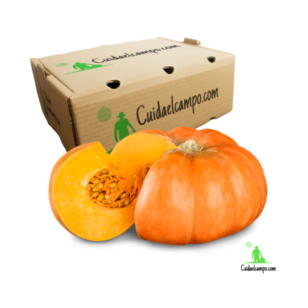 calabaza miguel