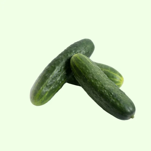 Pepino - Imagen 2
