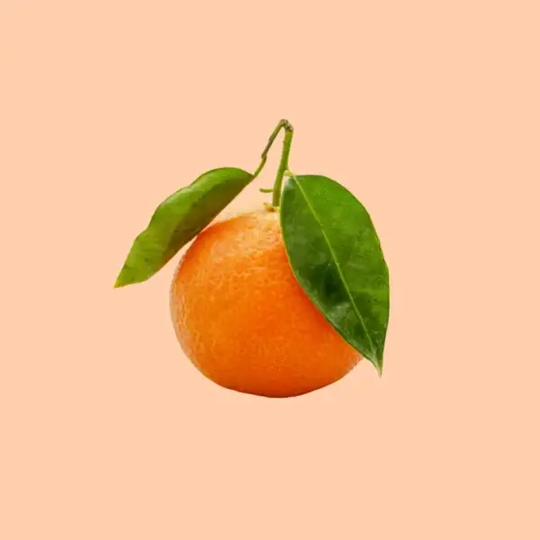 Naranja Marisol - Imagen 2