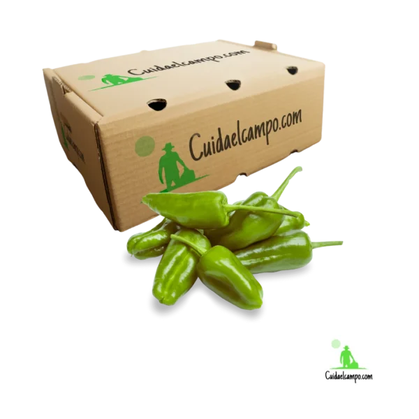 pimientos del padron
