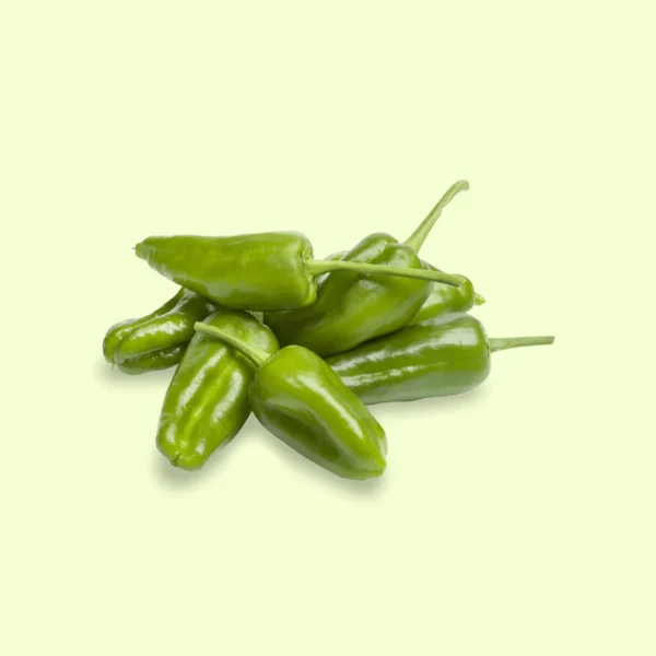 Fuente de fibra y vitamina C, los pimientos del padrón son perfectos para una dieta equilibrada y sabrosa.